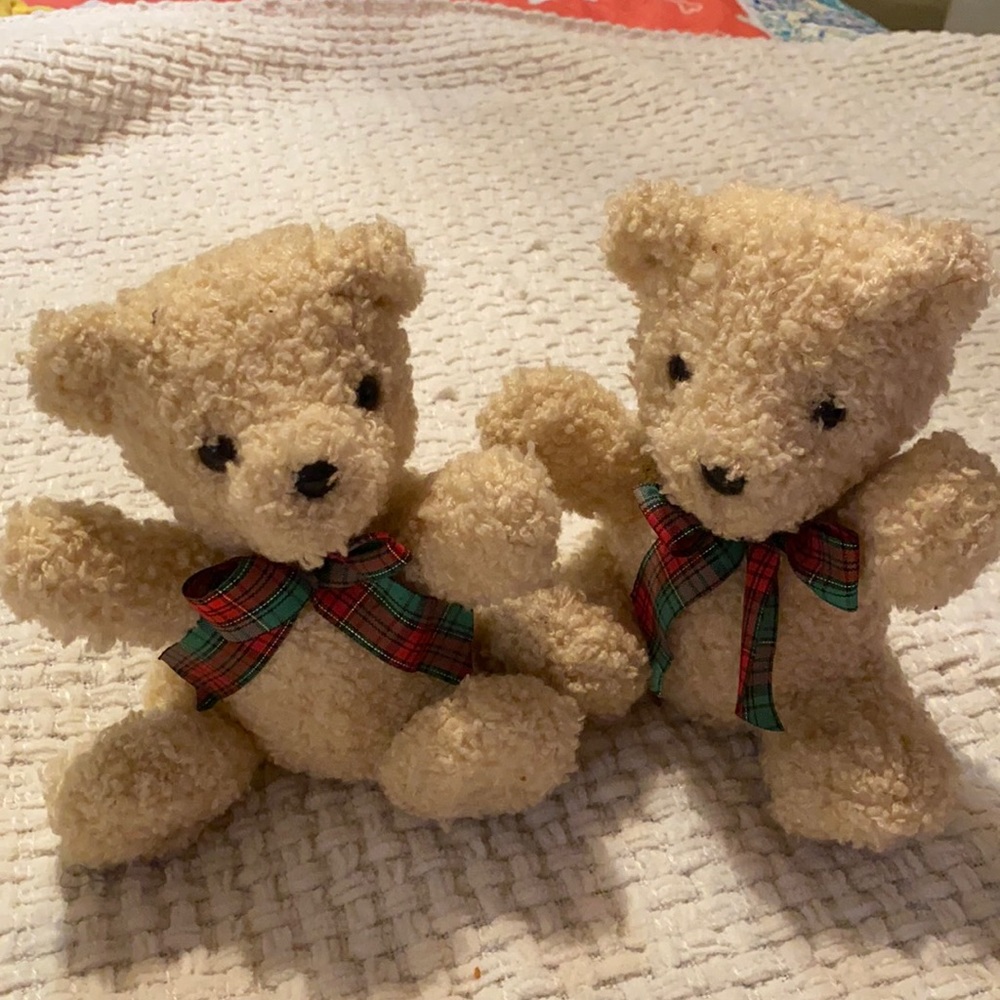 ✨Two Matching Bears ✨